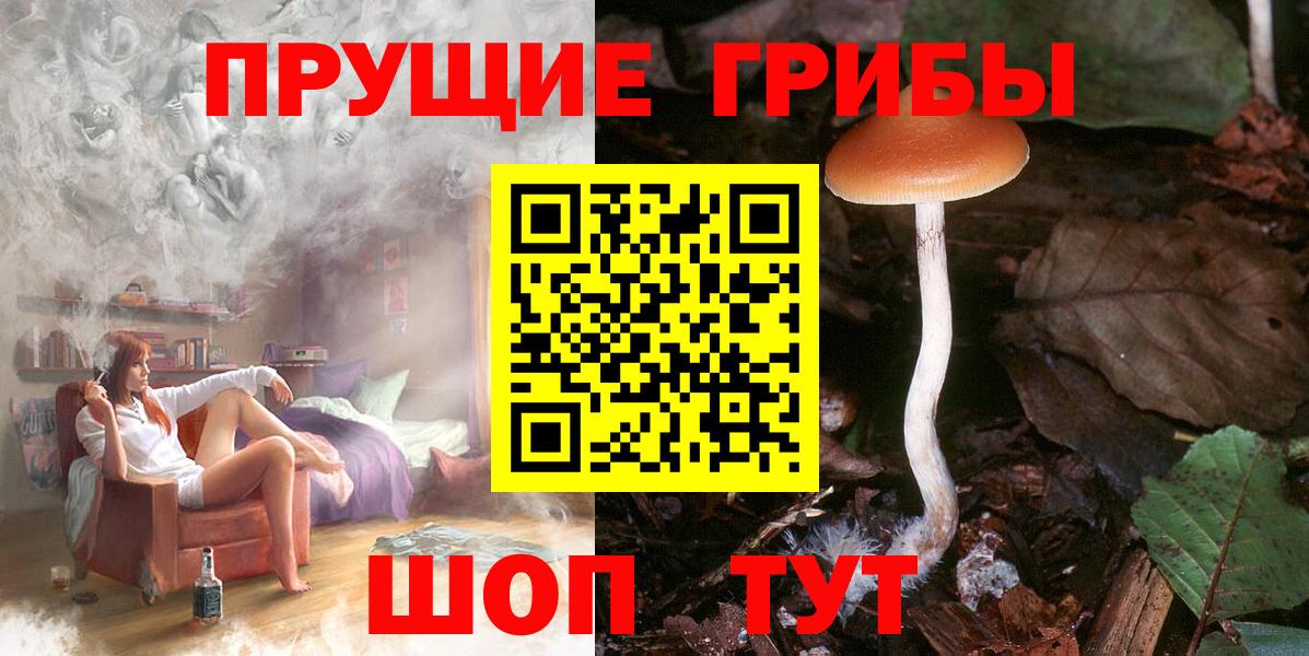 Галлюциногенные грибы мицелий  купить закладку  Нижнеудинск  Вход с VPN 